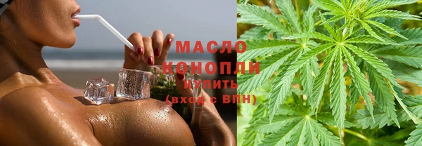 спиды Горняк
